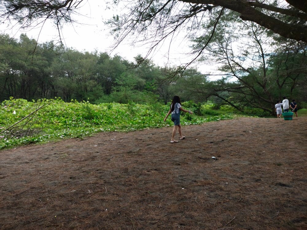 Goa Cemara Beach景点图片