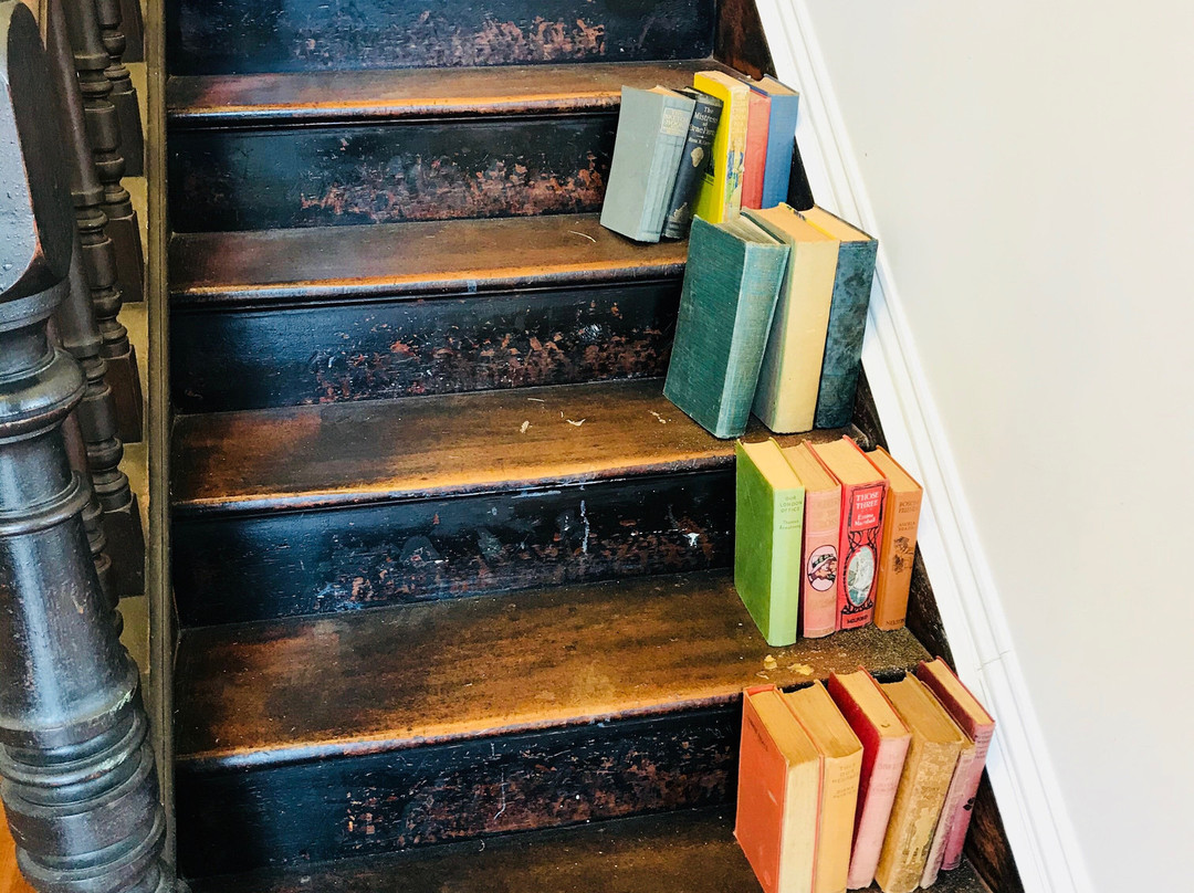 Brush Rabbit-德洛兰恩必去景点