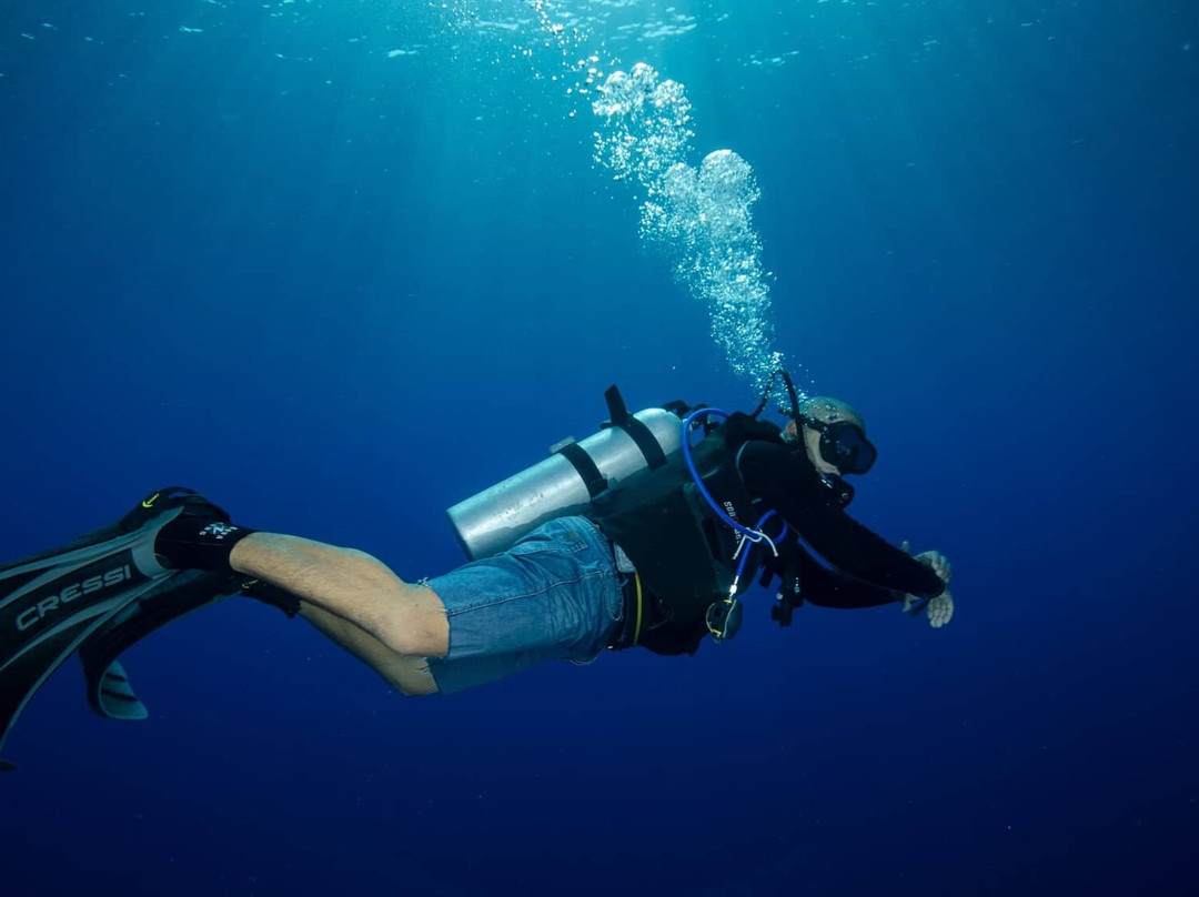 Divers Hurghada - Diving Course PADI - CMAS - SSI.-赫尔格达必去景点