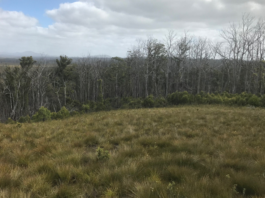 Dempster Plains Lookout-Smithton必去景点