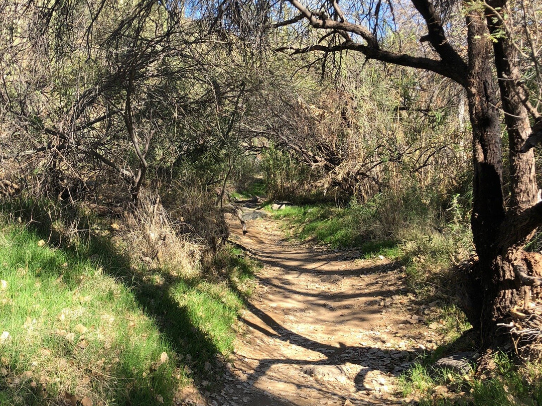 Spur Cross Ranch-洞溪必去景点