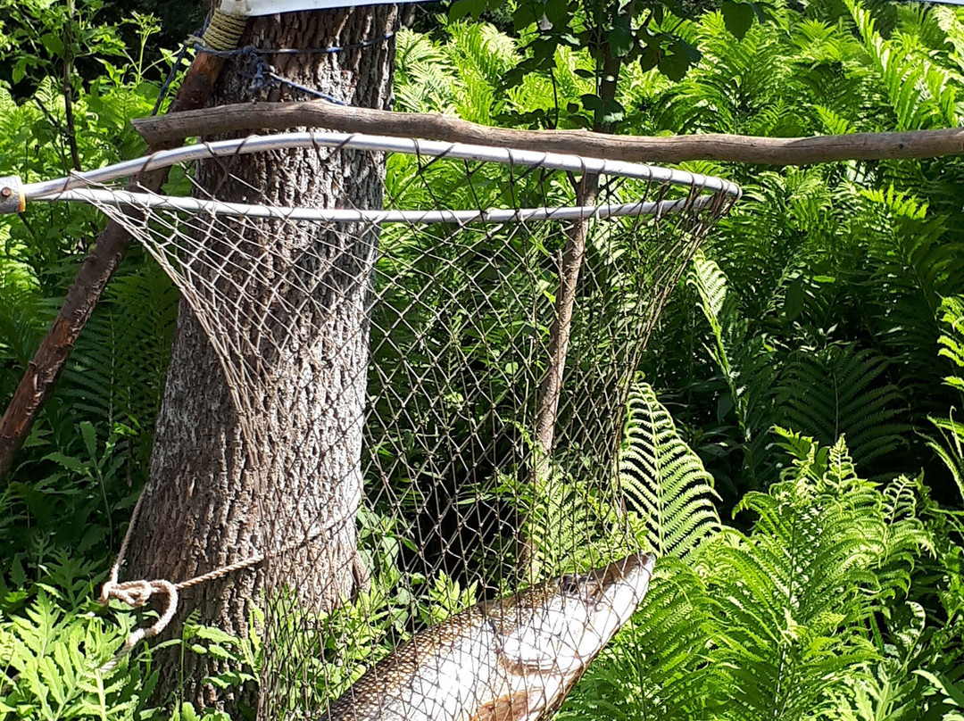 Canoe-Kayak Arundel-Arundel必去景点