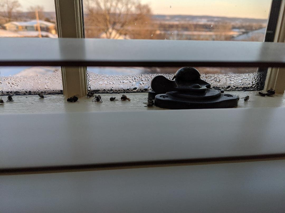 The Inn at Hermannhof主图