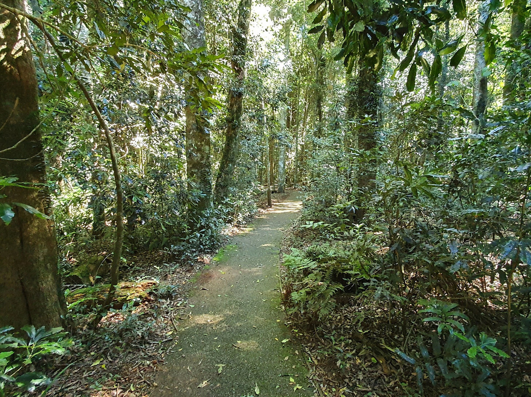 The Glade Picnic Area景点图片