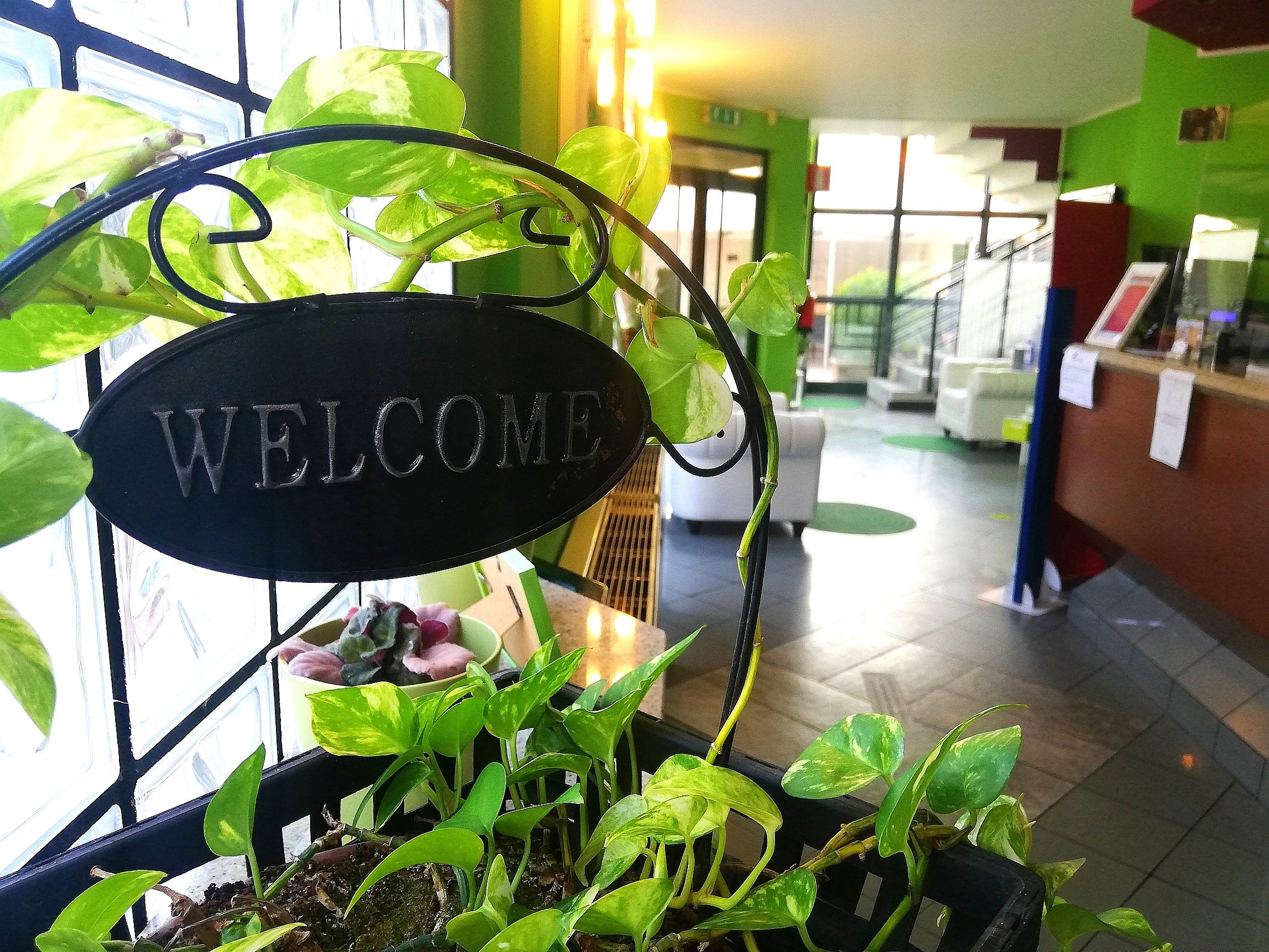 Green Hotel-官方