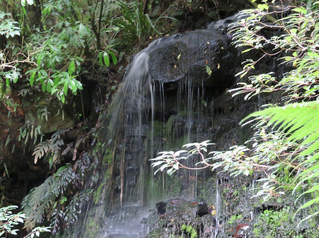 Matai Falls Walk景点图片