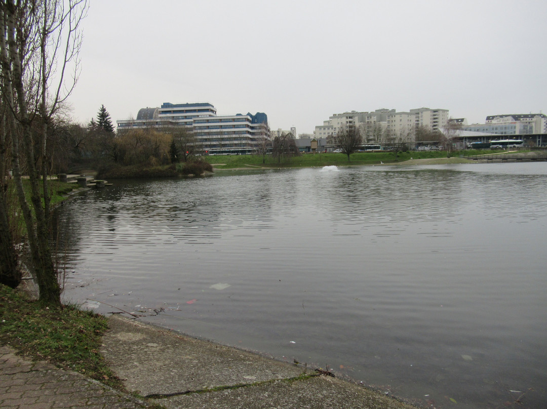Lac du CUR景点图片