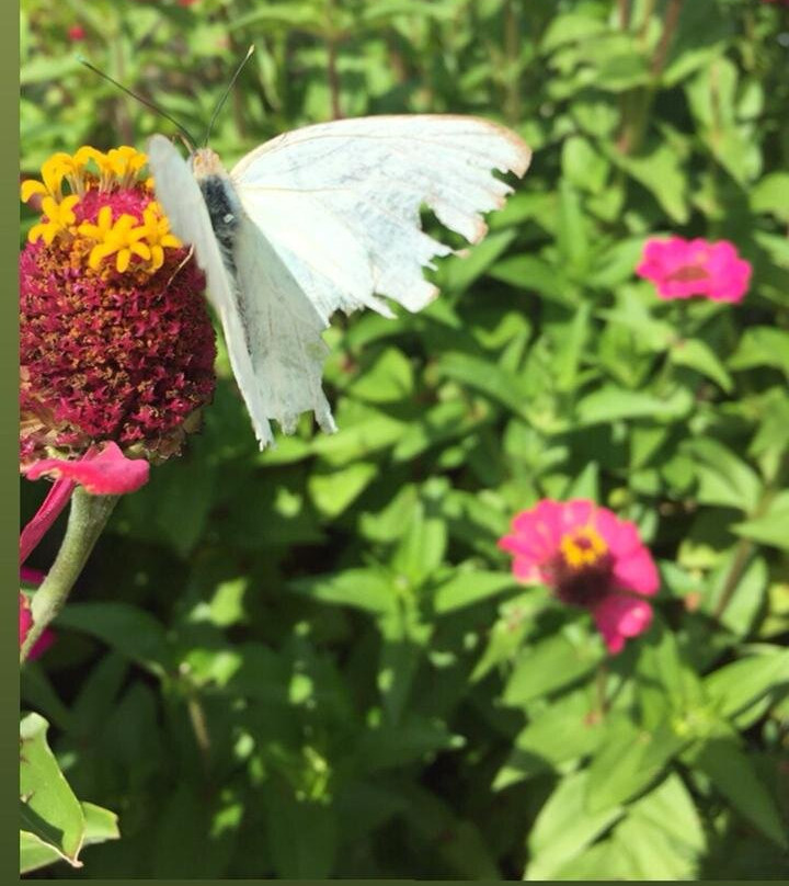 Mezcal Real Minero-瓦哈卡必去景点