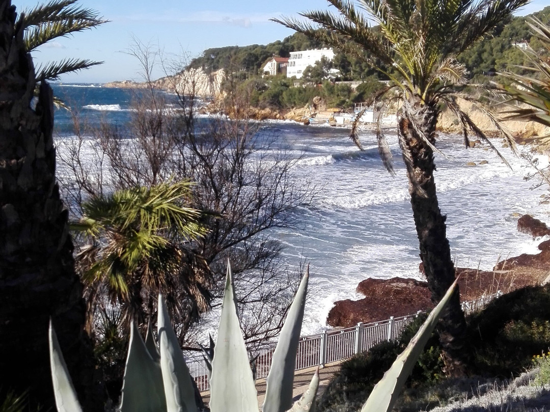 Plage de Portissol景点图片