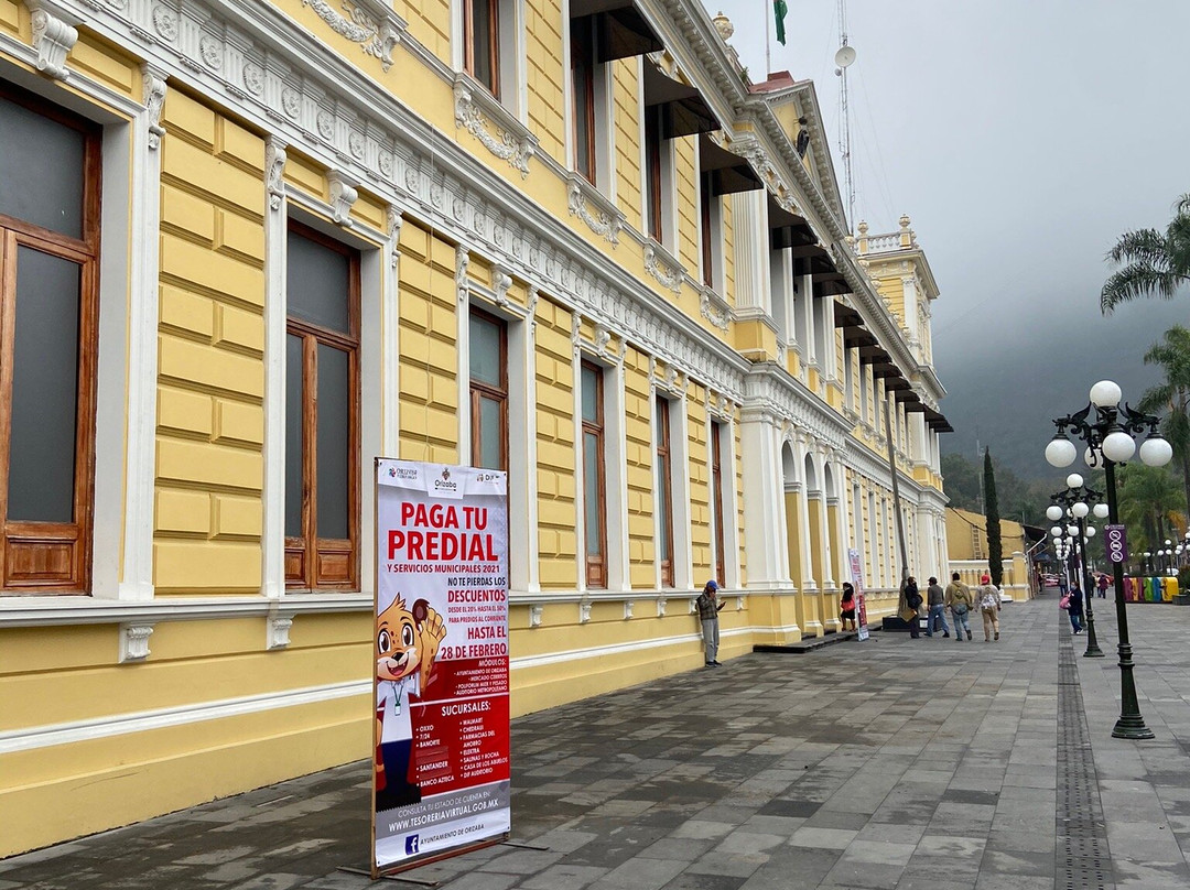 Palacio Municipal de Orizaba景点图片
