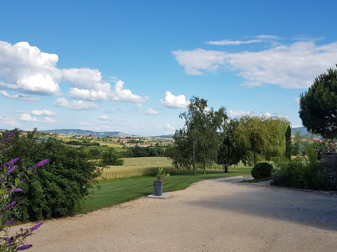 Relais de Navon主图