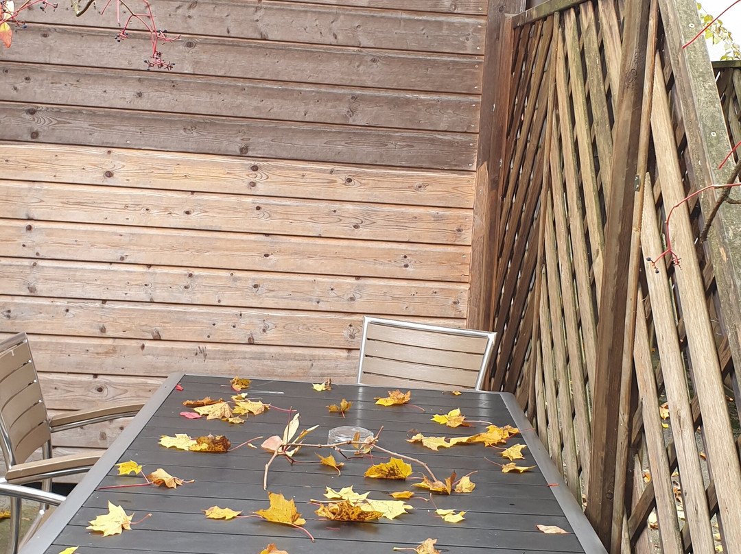 斯坦恩舒乐霍夫酒店主图