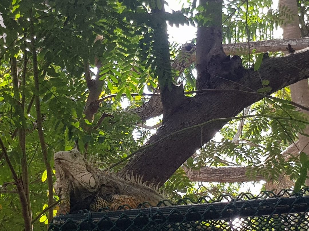 Zoológico De Barranquilla-Barranquilla必去景点