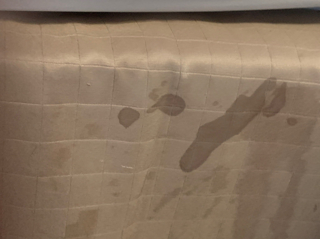 Hampton Inn Toledo/oregon主图