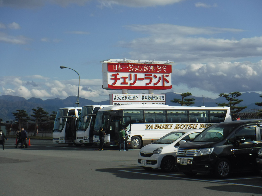 Michi-no-Eki Sagae Cherry Land-寒河江市必去景点