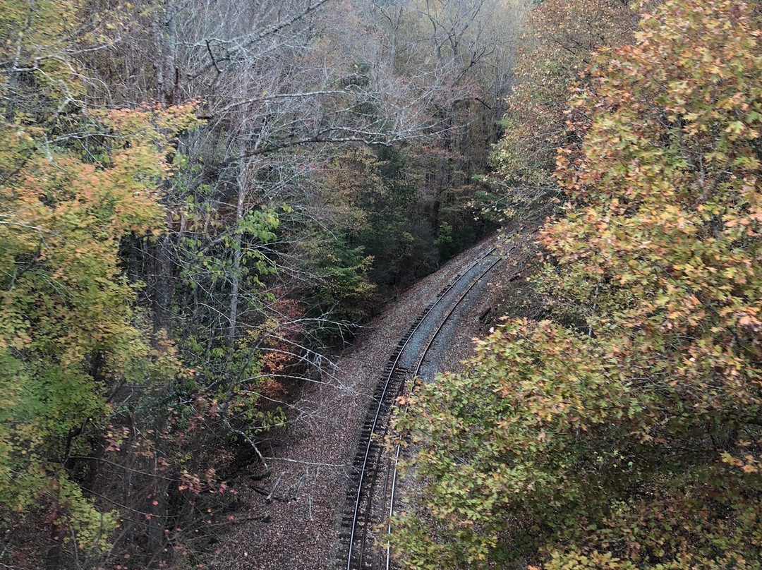 Tennessee Valley Railroad Museum-Etowah必去景点