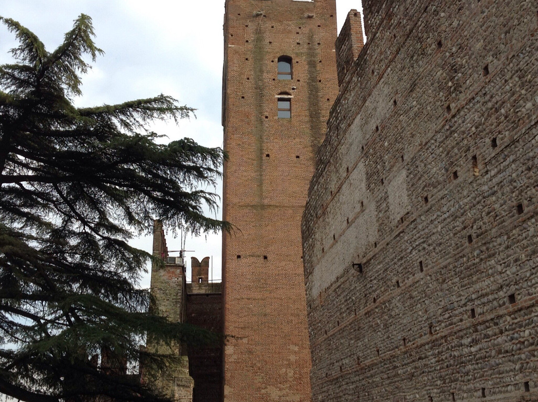 Castello Scaligero di Villafranca景点图片