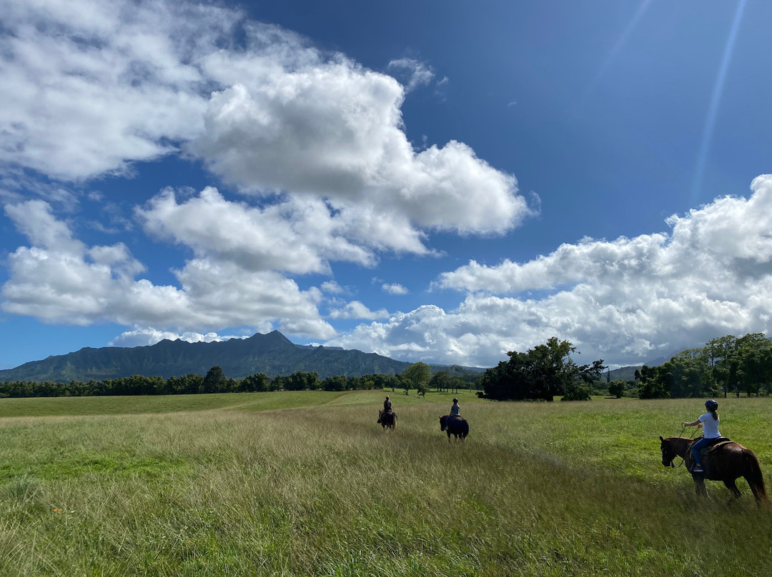 Princeville Ranch-普林斯维尔必去景点