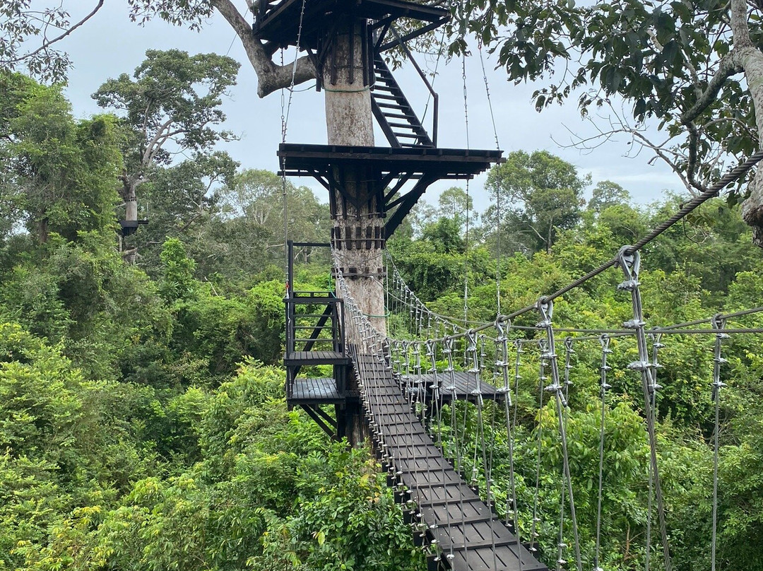 Angkor Zipline景点图片