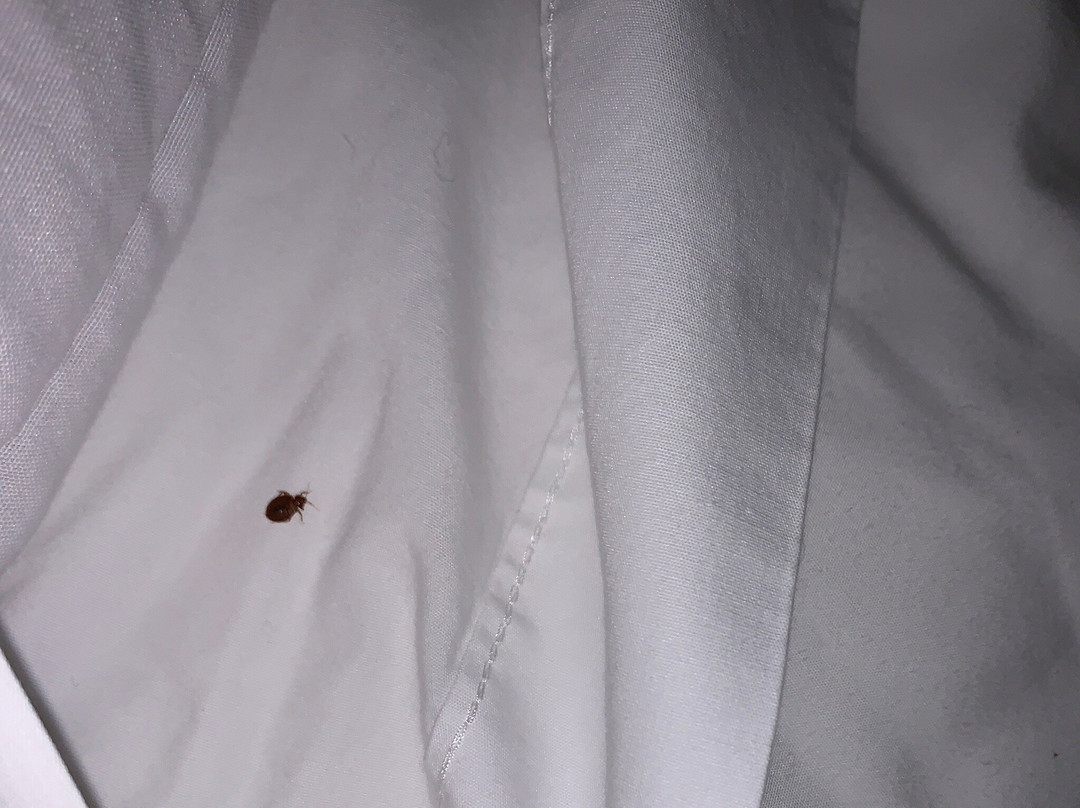 Red Roof Inn & Suites Cincinnati North-Mason主图