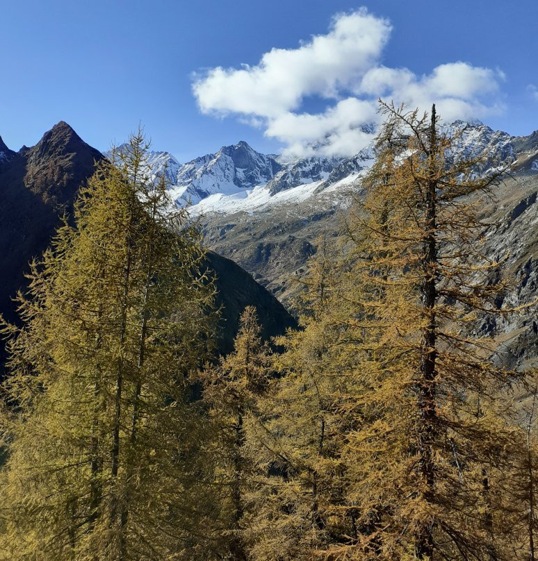 Parco Naturale dell'Alta Valle Antrona-Antrona Schieranco必去景点