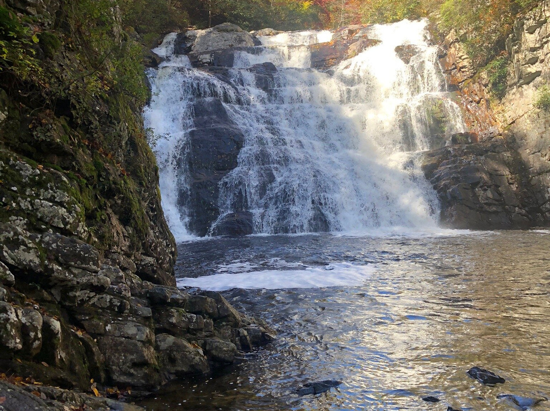 Laurel Fork Falls景点图片
