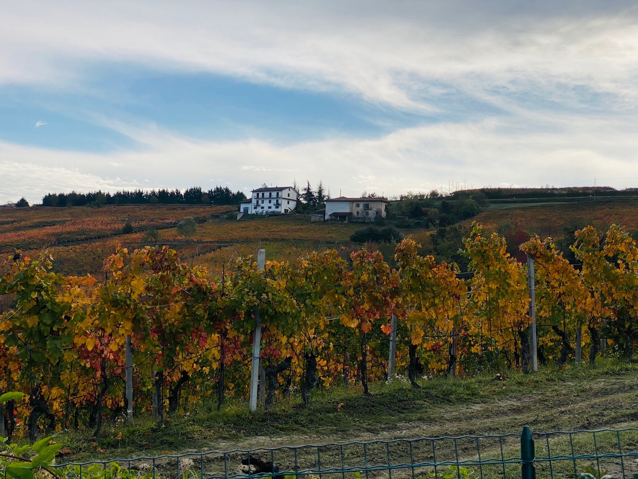 Amalia Cascina in Langa-官方