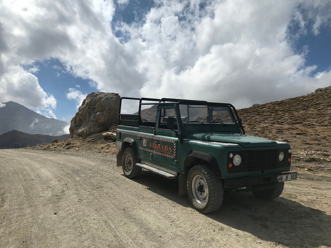 Alibaba Tortuga Travel Agency景点图片
