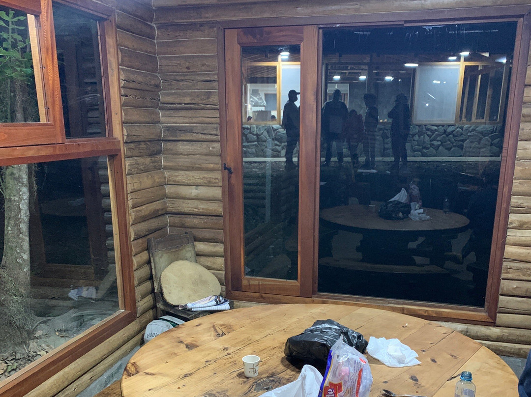 Urapanes Del Bosque主图