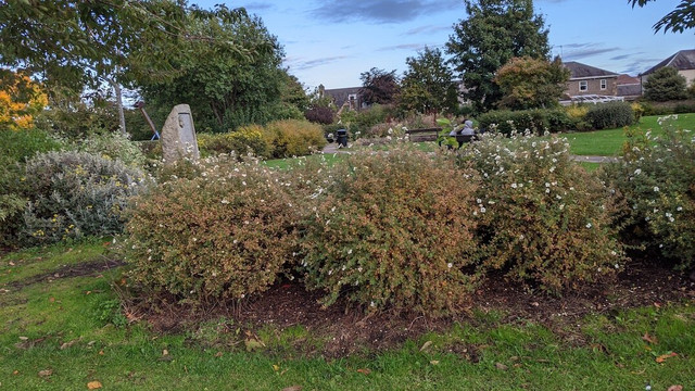 King George V Park-邦尼里格必去景点