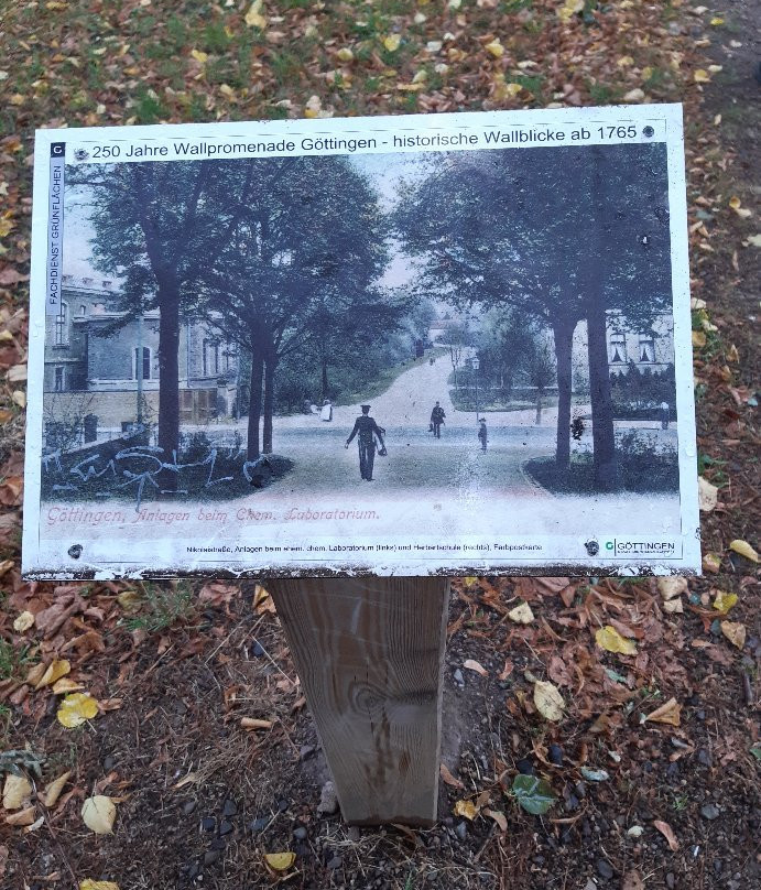 Goettingen City Wall景点图片