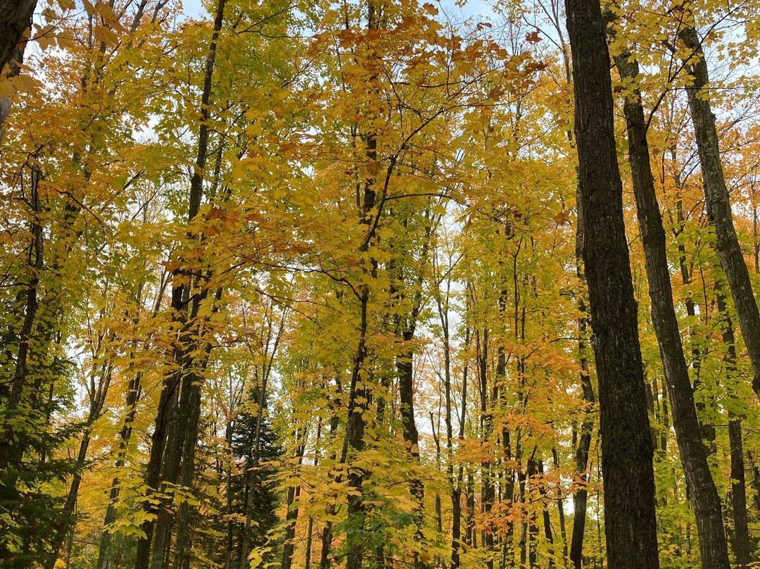 Yellow Dog Falls-Big Bay必去景点