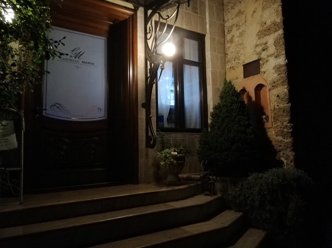 Villa Castelul Maria主图