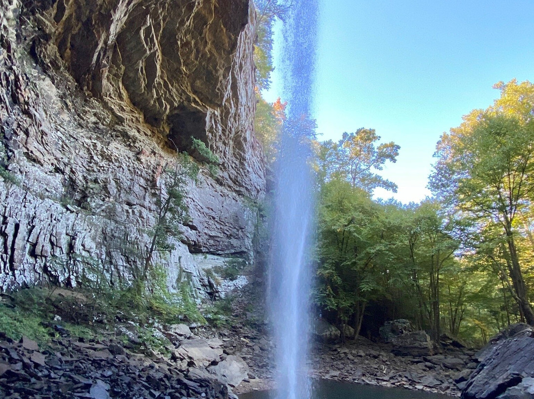 Ozone Falls State Natural Area景点图片