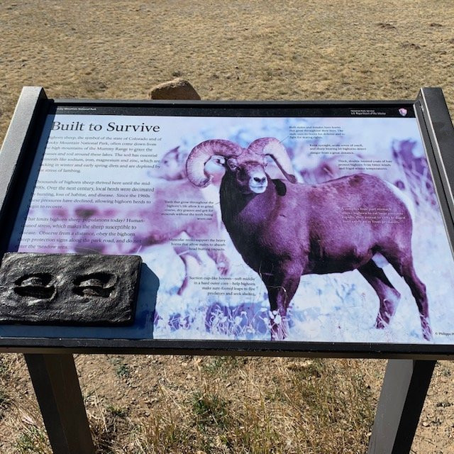 Sheep Lakes-落基山国家公园必去景点