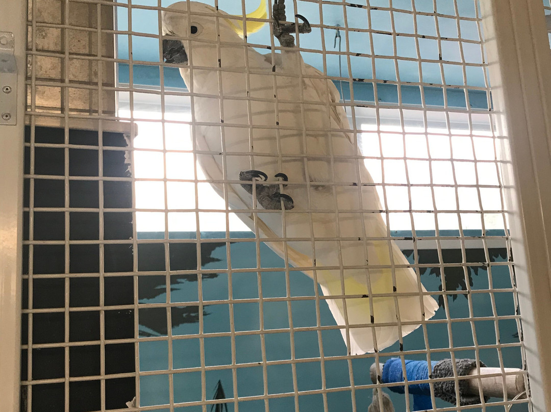 Quality Hotel The Angus主图