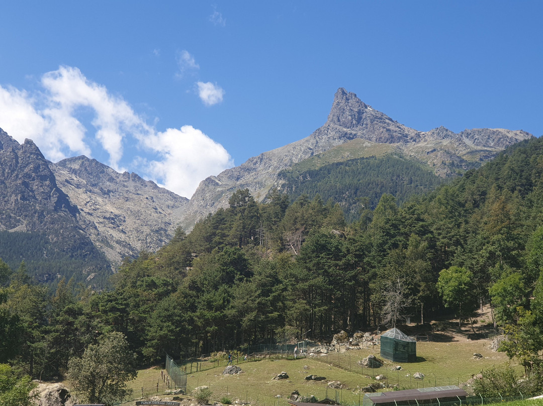 Natural Park Mont Avic景点图片