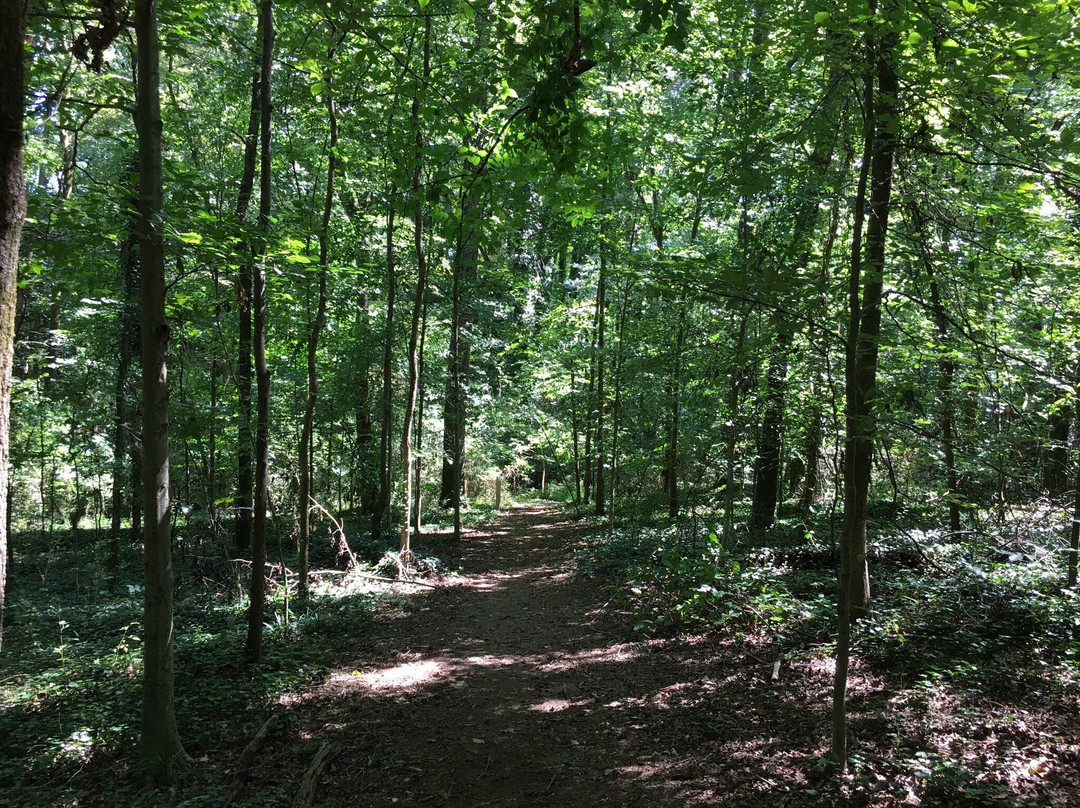Tucker Nature Preserve-Tucker必去景点