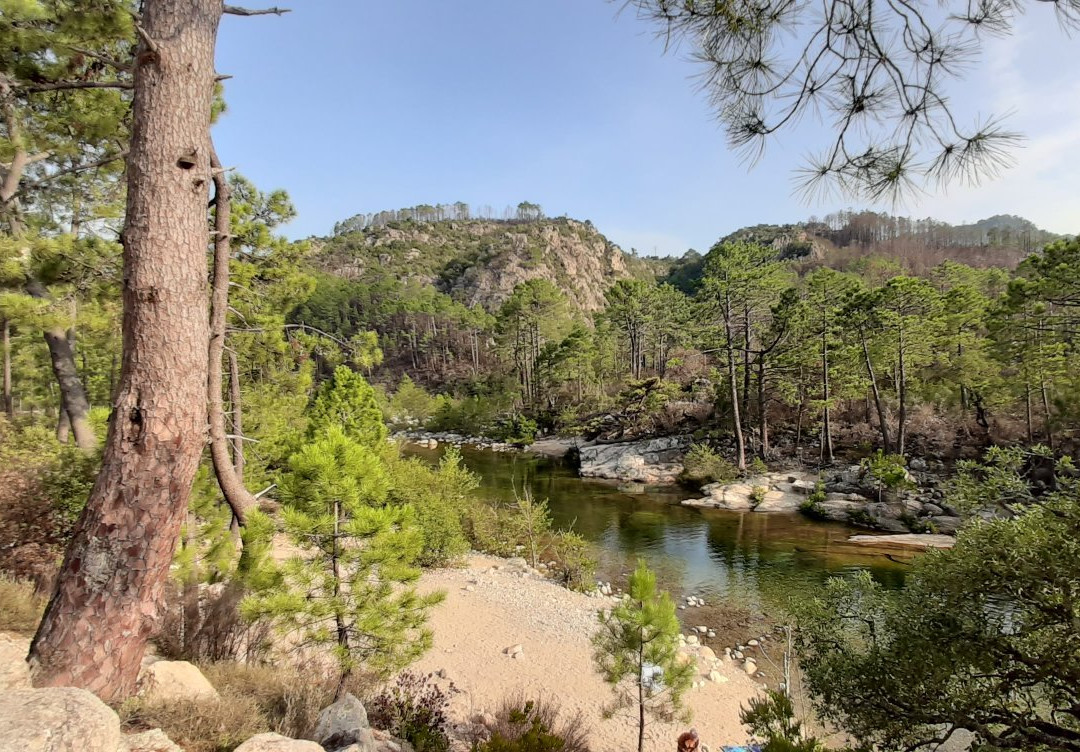 River Solenzara景点图片