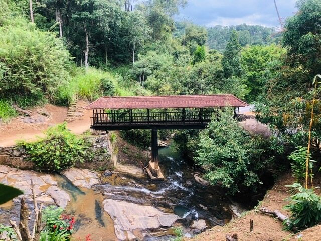 Bogoda Wooden Bridge-Badulla必去景点
