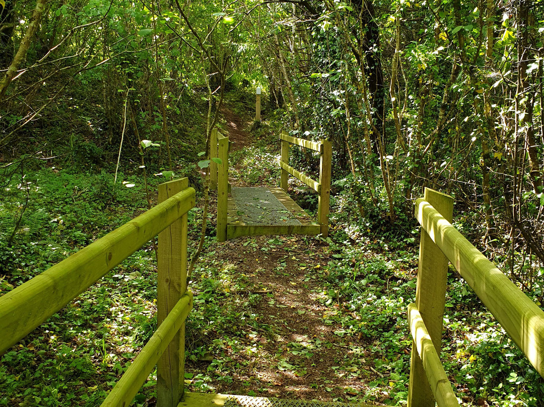 Straidkilly Nature Reserve-Glenarm必去景点