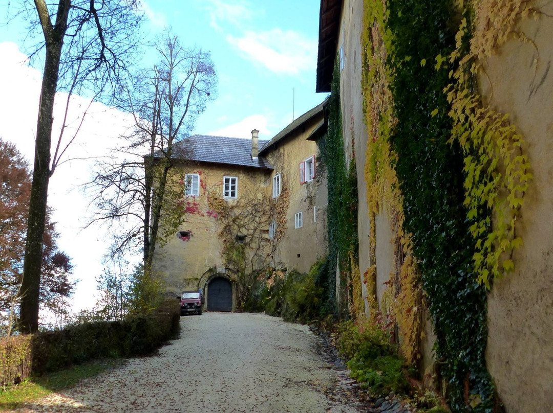 Schloss Hallegg景点图片