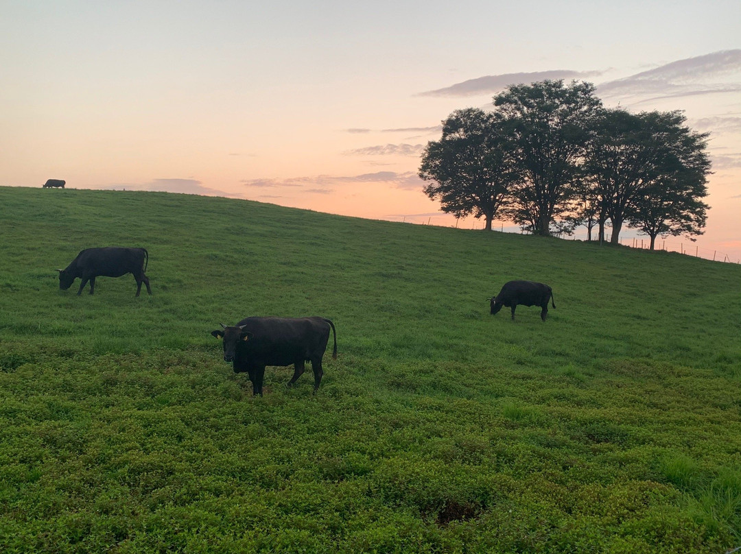 Gassan Kogen Ranch-鹤冈市必去景点