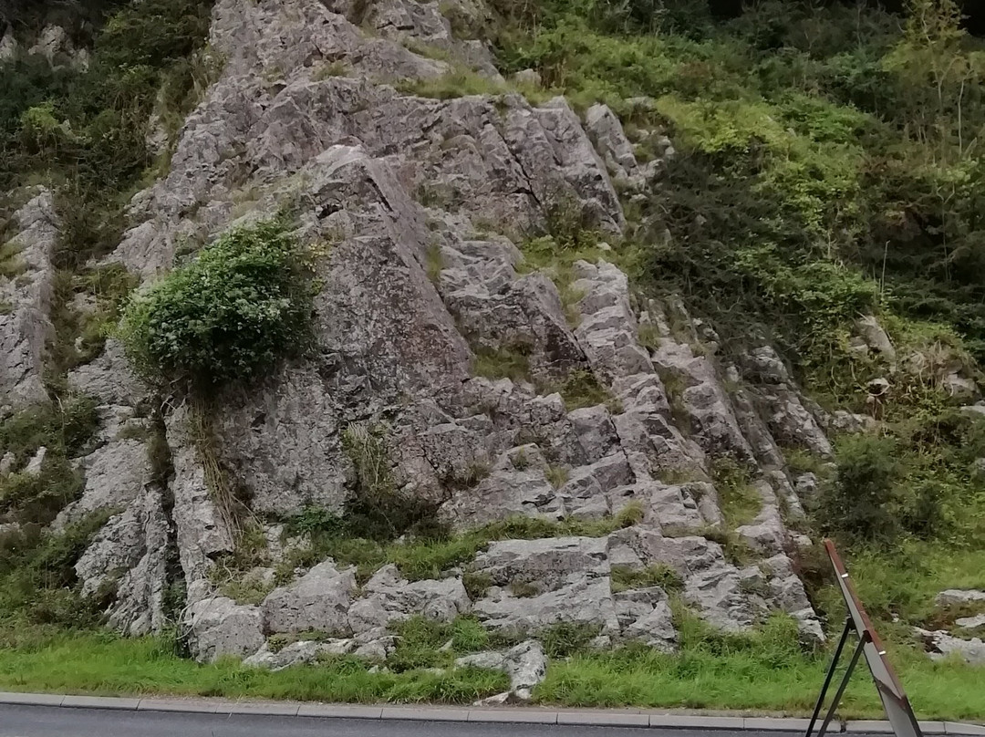 Burrington Combe-Cheddar必去景点
