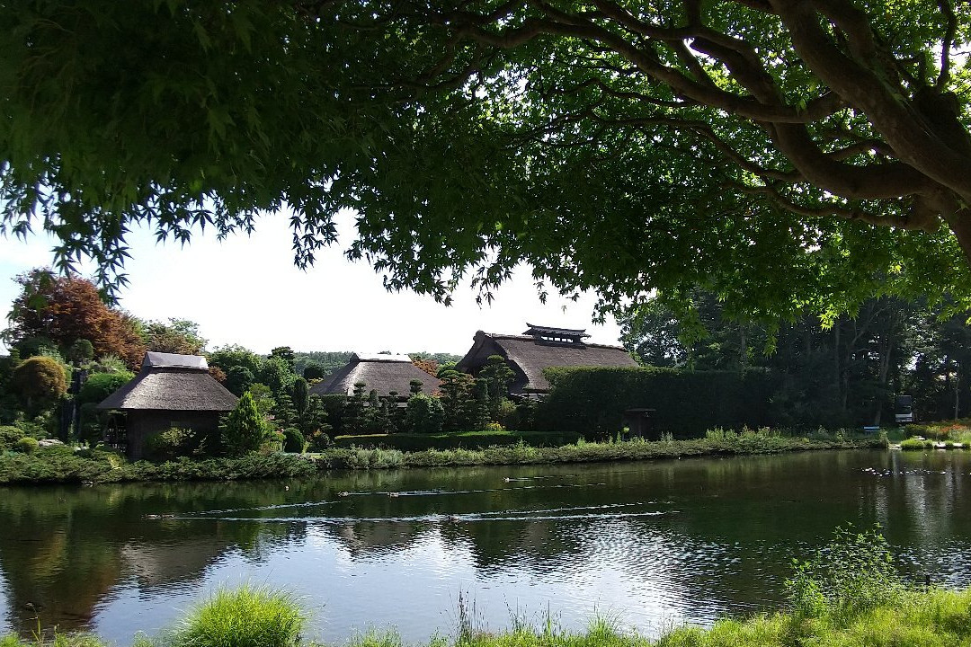 Hannoki Forest Museum / Sokonuke Pond景点图片