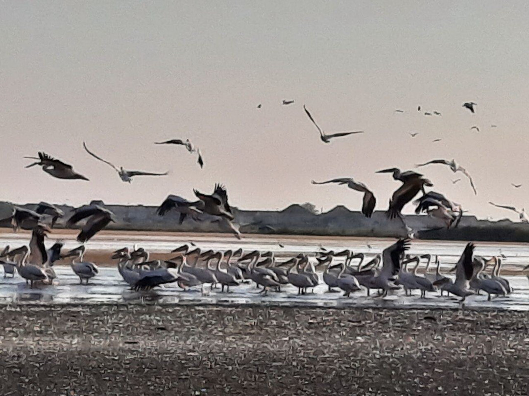 Natsional'nyy Prirodnyy Park Tuzlovskiye Limany-Tatarbunary必去景点