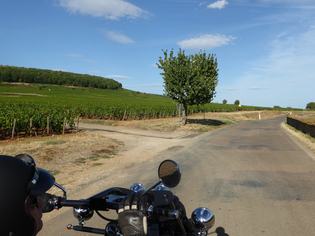 Road trip Trike-博讷必去景点