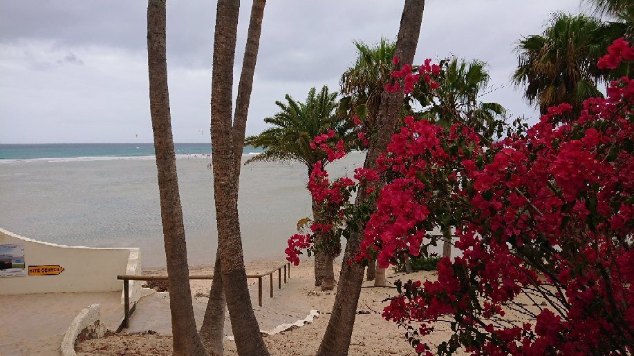 Playa de la Barca景点图片