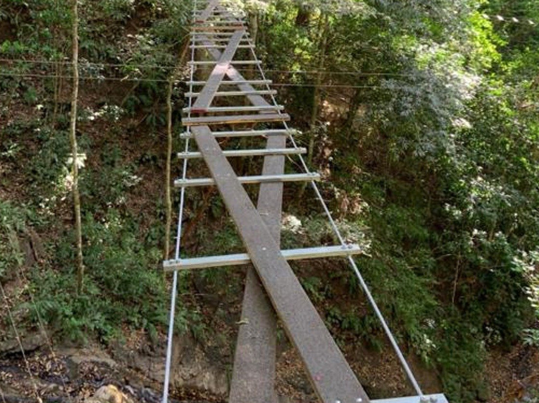 Rainforest Adventures Braulio Carrillo-爱雷迪雅必去景点