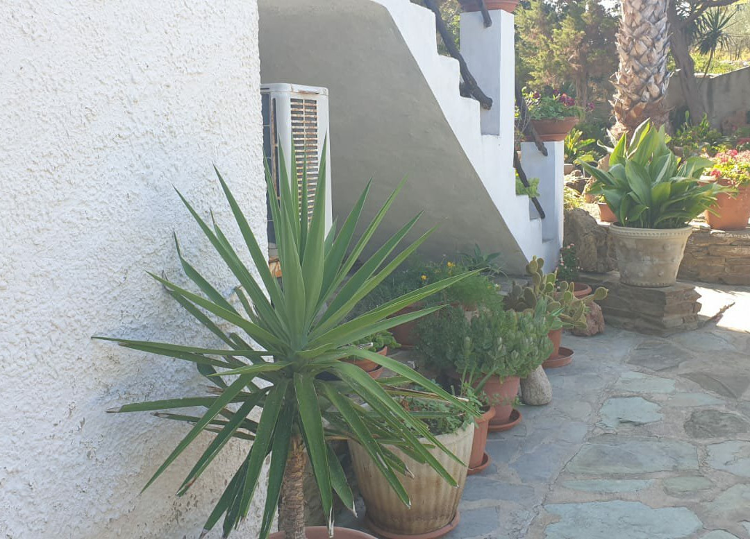 Solmar Vacanze主图